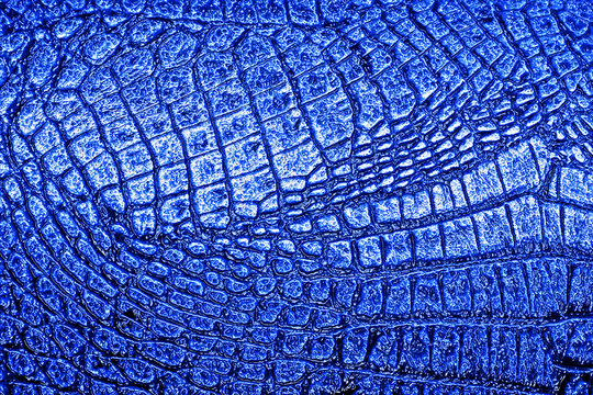 Blue crocodile skin texture, as wallpaper