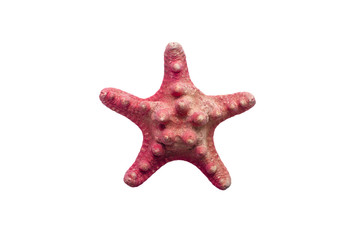 Obraz premium Red starfish on white isolated background