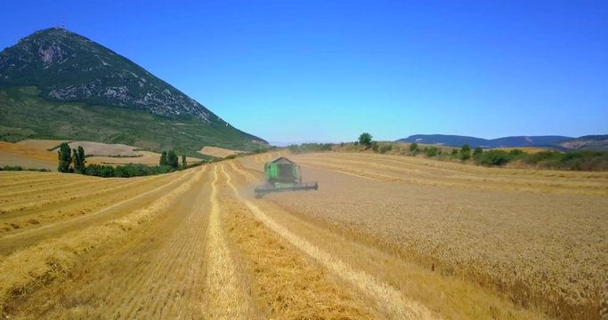 Cosechando trigo con montaña de fondo