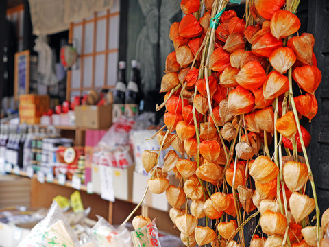 加藤 早紀 Photos Images Assets Adobe Stock 加藤 早紀 Photos Images Assets Adobe Stock