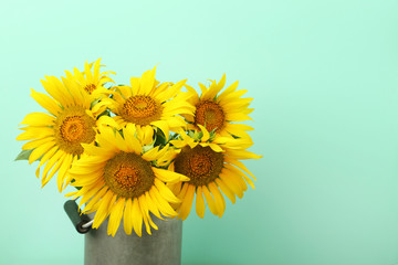 Sunflowers in aluminium can on mint background