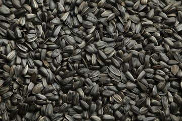 Sunflower seeds background