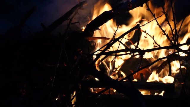 Bonfire burning trees at night. Burning foliage and the tree branches