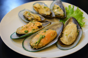  Steamed New Zealand mussels on a plate