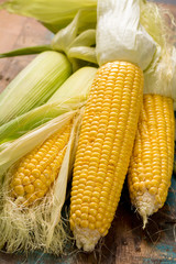 Fresh corn on rustic wooden table, closeup