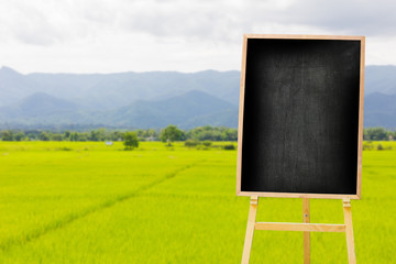 vintage empty menu blackboard on the background of rice field landscape, can be used for display or montage your products. Mock up for displaying product.