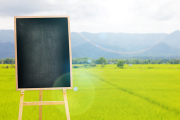 vintage empty menu blackboard on the background of rice field landscape with lens flare, can be used for display or montage your products. Mock up for displaying product.