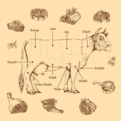 Meat Hand Drawn Scheme