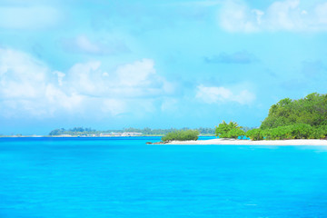 Fototapeta premium View of beautiful beach at tropical resort