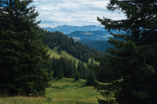 Aplen Bilder – Durchsuchen 346 Archivfotos, Vektorgrafiken und Videos ...
