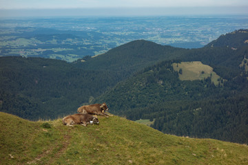 Wandern an einem Sonntag auf der Nagelfluhkette in den Allgäuer Aplen