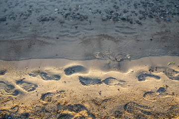 Fototapeta na wymiar Footprints on the water's edge