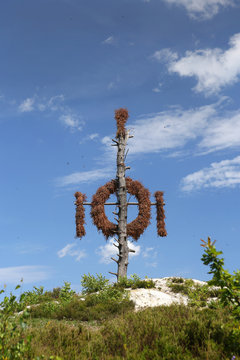 Questenbaum in Questenberg