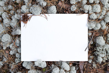 Blank form, frame for filling in the text