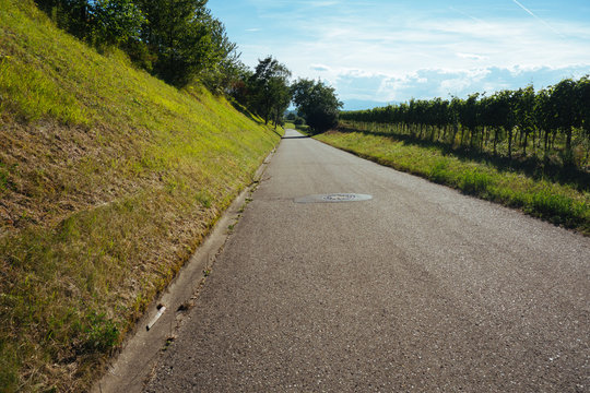 Sommerlicher Ausflug mit dem Rad durch den Kaiserstuhl im Schwarzwald
