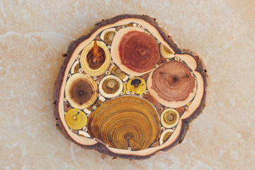 A cut of different tree trunks collected in a mosaic on a beige background