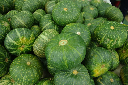 green pumpkins