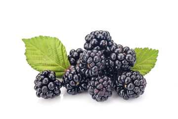 Blackberries