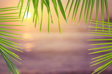 Green nature palm leaf on blur tropical beach with sun light abstract background.