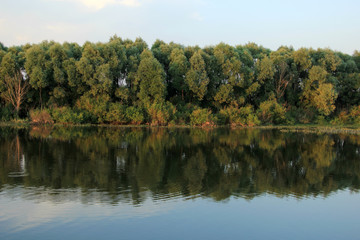 Fototapeta na wymiar the reflection in the river