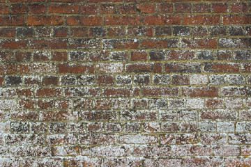 A blank brick wall with fading lime wash found in the ancient ruins of the 13th century Tudor Titchfield Abbey at Titchfield, Fareham in Hampshire in the New forest in the South of England