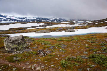 view from national tourist road 55 Sognefjellsvegen in misty weather, Norway