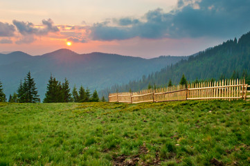 Spruce trees on lush green slope against mountain tops covered with several clouds at sunset. Diagonal line of wooden picket fence. Warm summer evening. Marmarosh range, Carpathian mountains, Ukraine