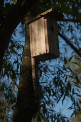 The birdhouse on the tree