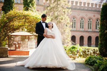 Obraz premium Attractive wedding couple posing in the garden of a majestic mansion.