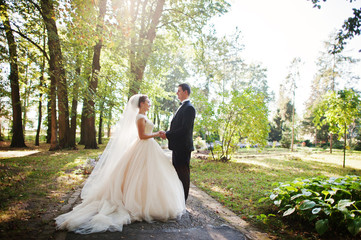 Fantastic wedding couple walking in the park on their wedding day.