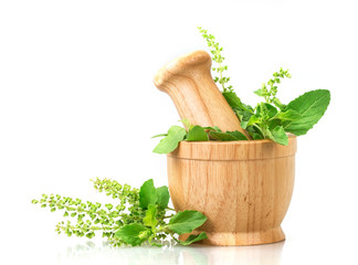 Fresh basil in wooden mortar on white background , herbal medicine concept