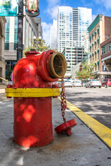Fototapeta na wymiar Hydrant am Straßenrand, Chicago, USA