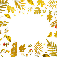 Frame from yellow leaves and dry leaves and flower on white background for isolated, Frame by...