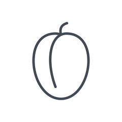 Fruits food plum line icon