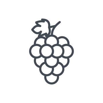Fruits food grape line icon