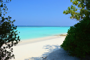 Maldives - 166191150