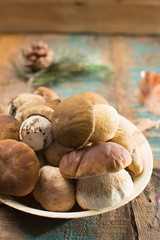 Tasty food - fresh porcini boletus oak muchrooms, high quality, ready to cook