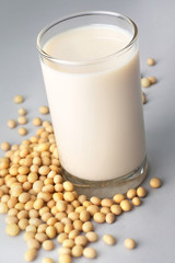 Soy bean milk surrounded by soy beans