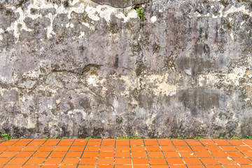 Fototapeta premium Mildewed walls