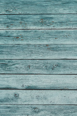 Old green shabby wooden planks with cracked color paint
