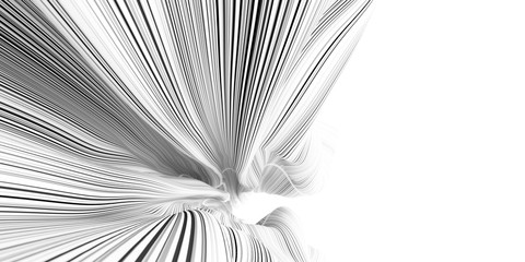 Abstract background, fluid and organic white shape with black stripes, original 3d rendering