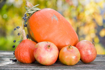 autumn fruits