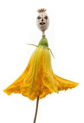 doll from poppy head isolated on a white