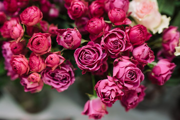pink bouquet of roses. Close up