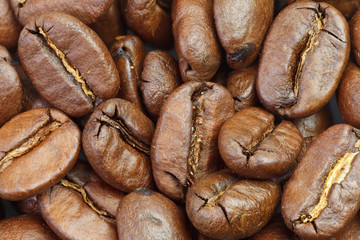 Coffee beans under microscope - extreme close up of coffee beans