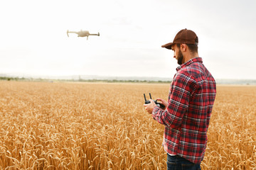 Farmer holds remote controller with his hands while copter is flying on background. Drone hovers behind the agronomist in wheat field. Agricultural new technologies and innovations. Back view © artiemedvedev