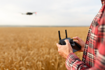Farmer holds remote controller with his hands while copter is flying on background. Drone hovers behind the agronomist in wheat field. Agricultural new technologies and innovations. Back view