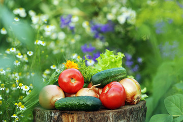 Овощи лежат на пне в саду