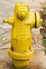 Close up image of a main fire hydrant.