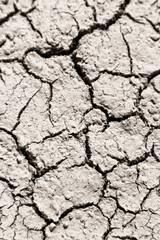 in the desert the dry ground